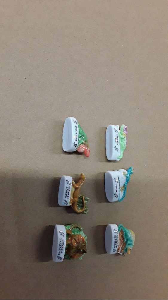 Collection feves 6 an