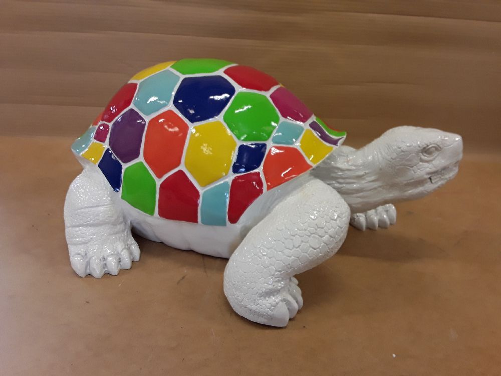 Tortue blanche gm