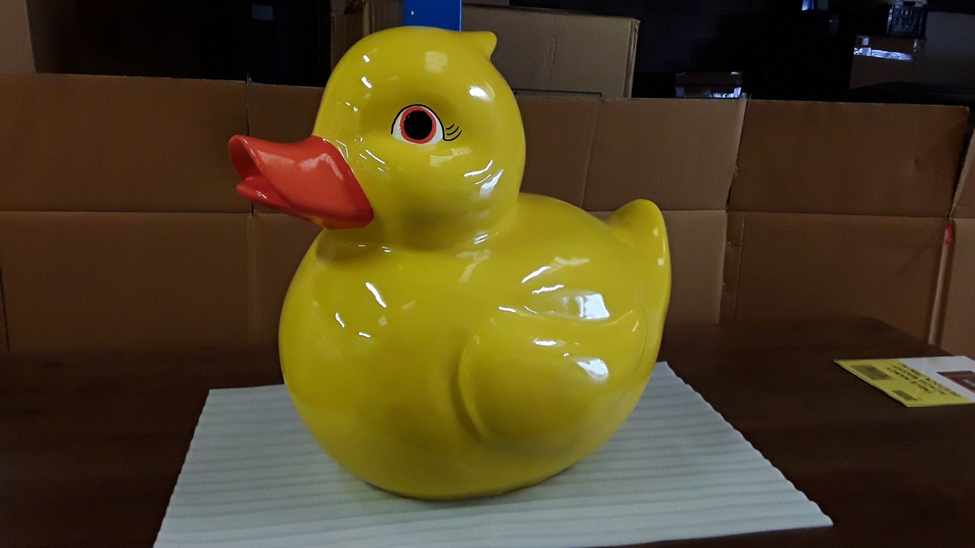 Canard