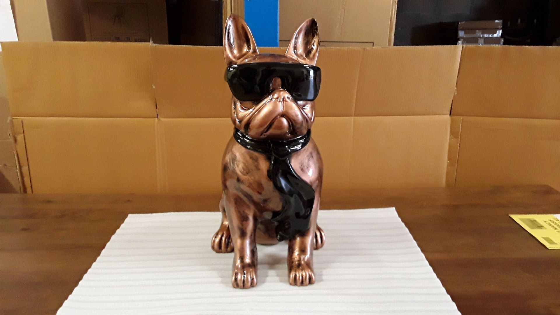 Bouledogue assis lunettes