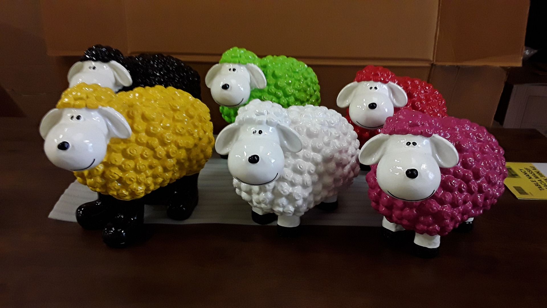 Mouton couleur divers